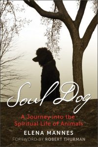 Soul Dog